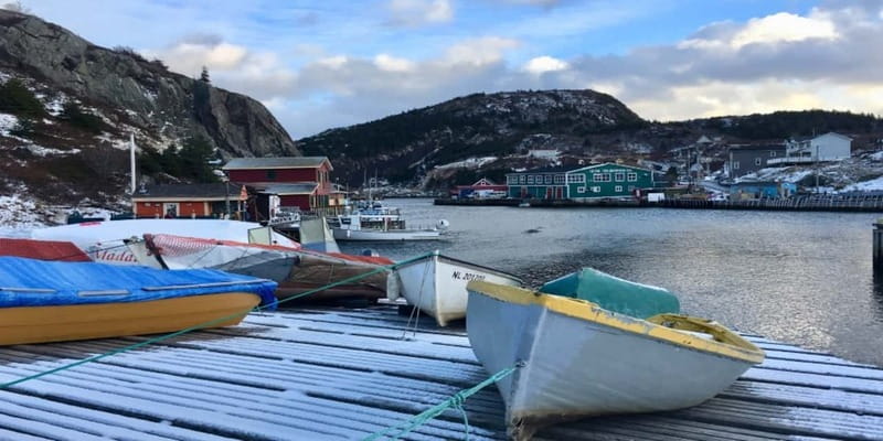 St Johns Premium Tour with Iceberg Quest Boat Cruise - What $169 gets you