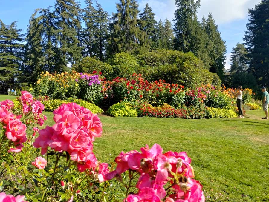 Stanley Park CarTour:SmallGroup/Comfort&CheaperThan BikeTour - Comfort, group size, and accessibility