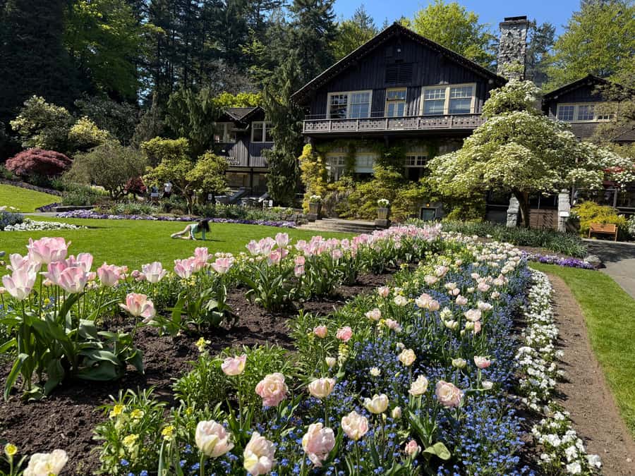 Stanley Park CarTour:SmallGroup/Comfort&CheaperThan BikeTour - Timing, weather, and what to bring