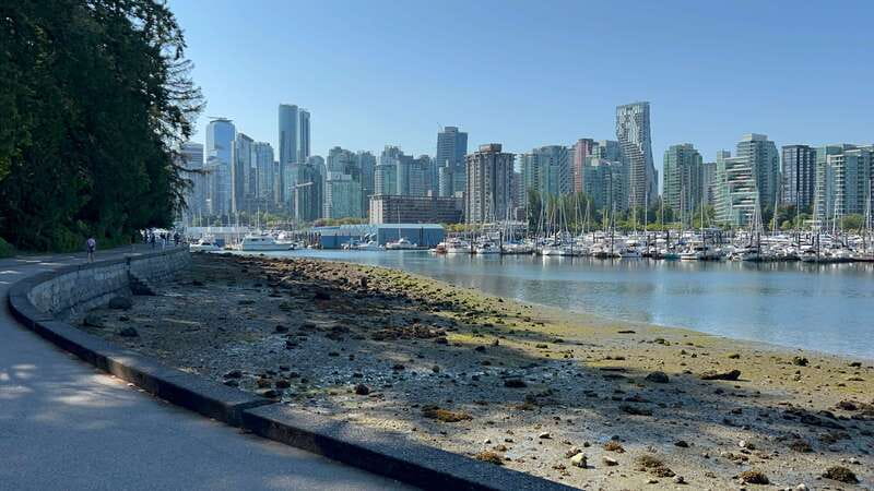 Stanley Park EUC & E-scooters loop tour - The totem poles and Coastal First Nations stories