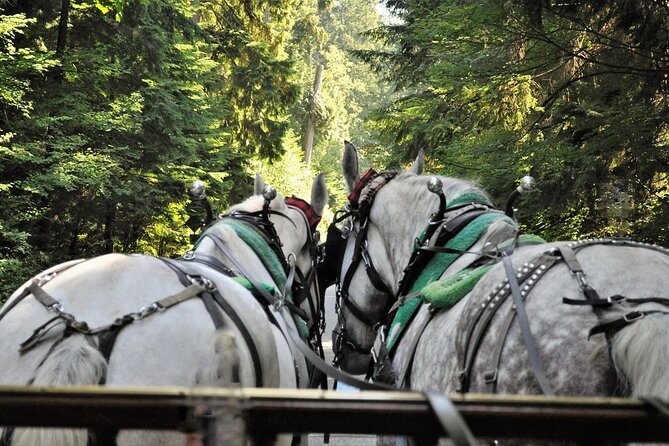 Stanley Park Horse Drawn Tour in Vancouver - Why a carriage is a smart way to see Stanley Park