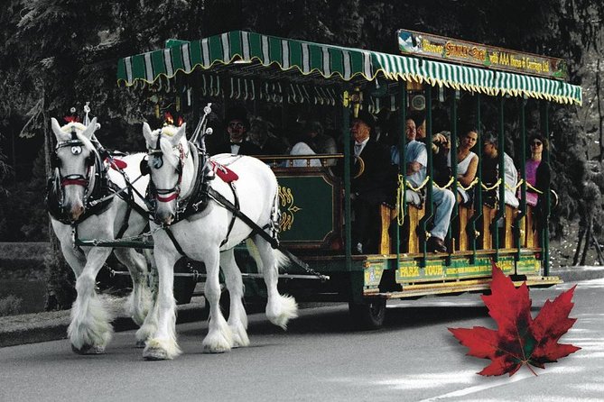 Stanley Park Horse Drawn Tour in Vancouver - Park Drive, the Seawall, and the first views