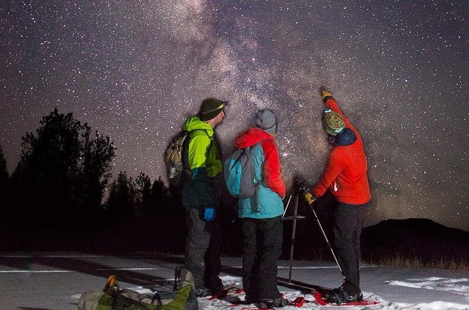 Stargazing Tour - Kananaskis After Dark - Pausing in the open meadow