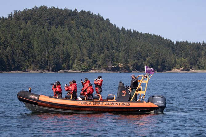 Summer Whale Watching Tour in a Zodiac Boat in Victoria - Race Rocks and its busy marine life
