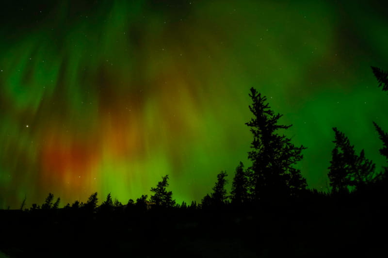 Sunrise or Sunset/Stargazing Tour at Moraine Lake from Banff - Booking details worth keeping in mind