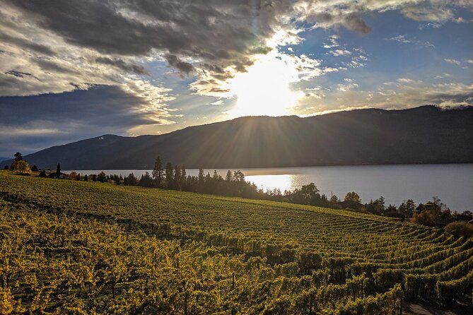 Sunset Sip Wine Tour - The guide can make this tour much better