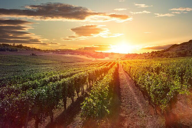Sunset Sip Wine Tour - Who will enjoy this evening most