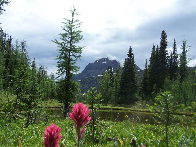 Sunshine Meadows Daily Guided Hike with Gondola - Riding Up to the Alpine Trailhead