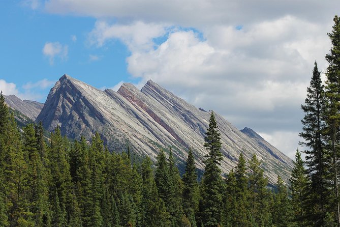 Sunwapta Challenge Whitewater Rafting: Class III Rapids - Starting in downtown Jasper