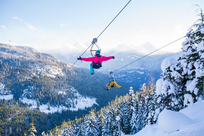Superfly Ziplines on Cougar Mountain - includes 4 ziplines! - Superfly Ziplines at a Glance