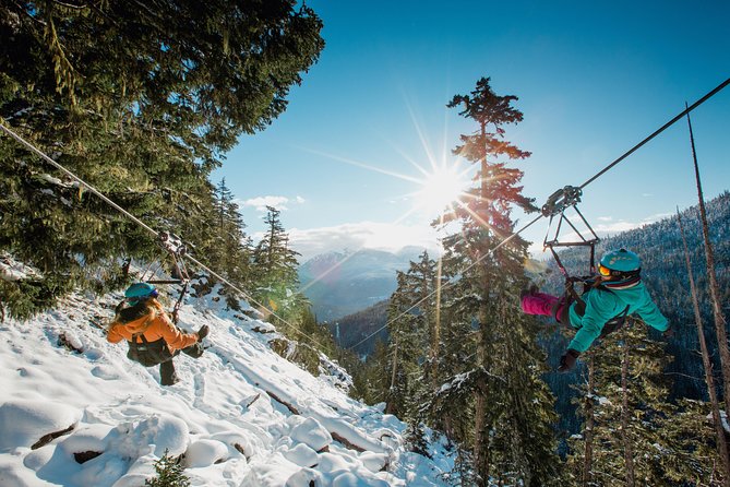 Superfly Ziplines on Cougar Mountain - includes 4 ziplines! - Reaching Cougar Mountain Base Camp