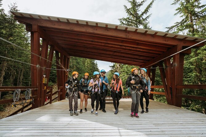 Superfly Ziplines on Cougar Mountain - includes 4 ziplines! - Guides Who Keep the Energy Right