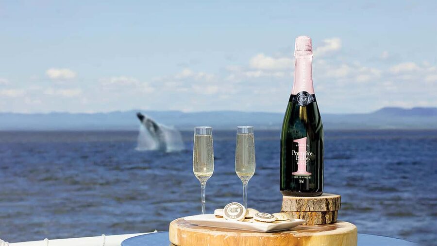 Tadoussac/Charlevoix: VIP Lounge OR UpperDeck Whale Watching - What You See Along the Route