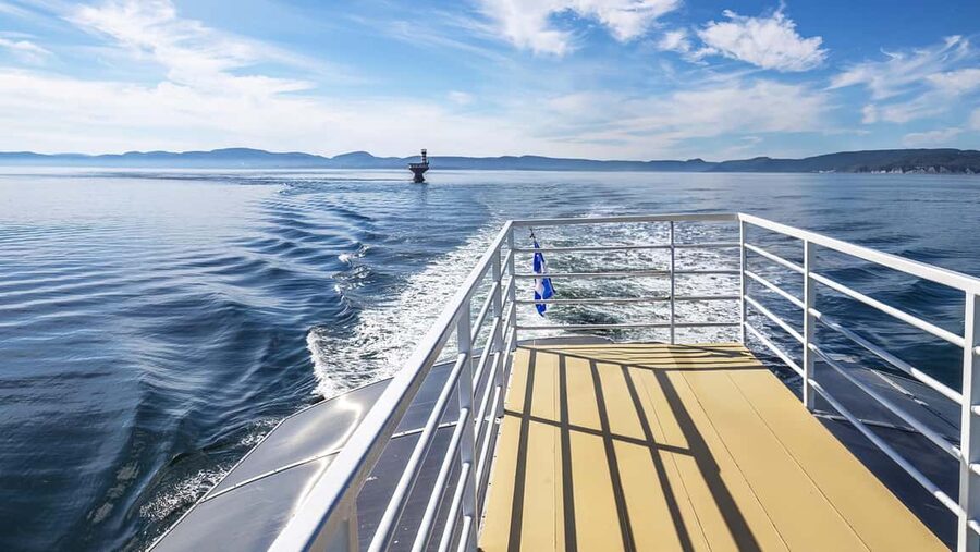 Tadoussac/Charlevoix: VIP Lounge OR UpperDeck Whale Watching - The Wildlife: Exciting, But Never Predictable