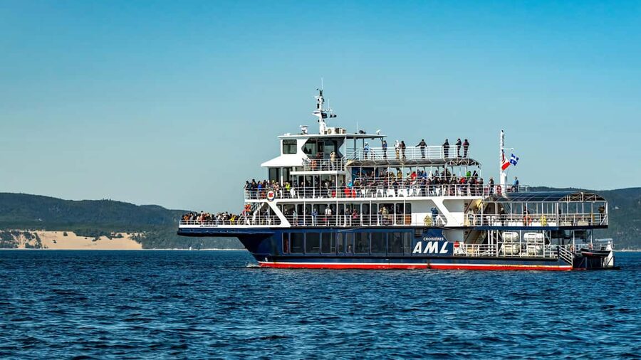 Tadoussac/Charlevoix: VIP Lounge OR UpperDeck Whale Watching - Who Should Choose This Cruise?