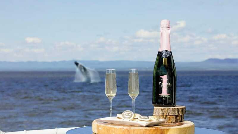 Tadoussac/Charlevoix: VIP Lounge OR UpperDeck Whale Watching - Should You Book AML Cruises?