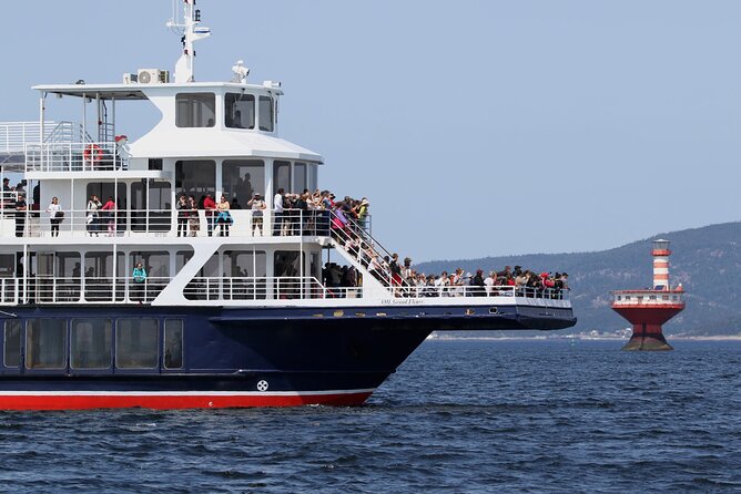 Tadoussac/Charlevoix: Whale Watching Tour - Staying warm, dry, and comfortable