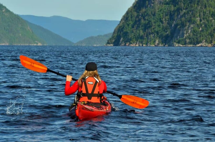 Tadoussac: Guided Sea Kayaking Adventure - What the guide adds