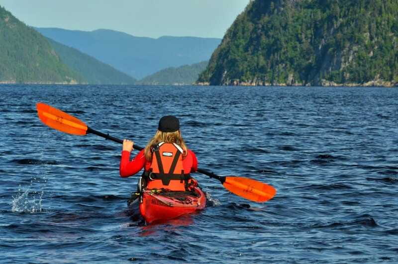 Tadoussac: Guided Sea Kayaking Adventure - Watching for seabirds, seals, and belugas