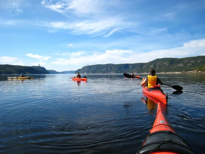 Tadoussac: Guided Sea Kayaking Adventure - Who will enjoy this outing most?