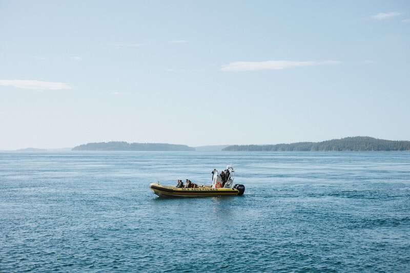 Telegraph Cove: 3-Hour Whale Watching Tour in a Zodiac Boat - Is $165 a fair price?