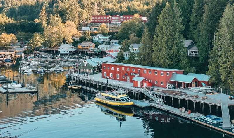 Telegraph Cove: 3-Hour Whale Watching Tour in a Zodiac Boat - Should you book it?