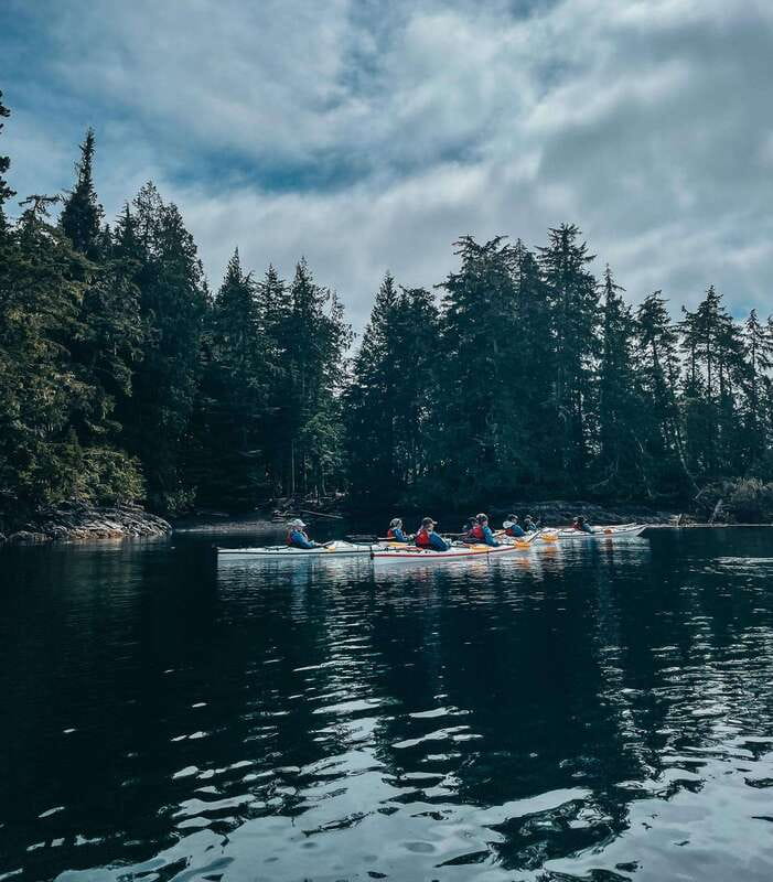 Telegraph Cove: Half-Day Kayaking Tour - Key points at a glance