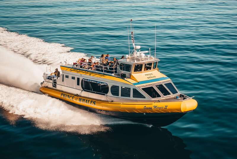 Telegraph Cove: Whale Watching Adventure with Free Photos - Key points to know before you go