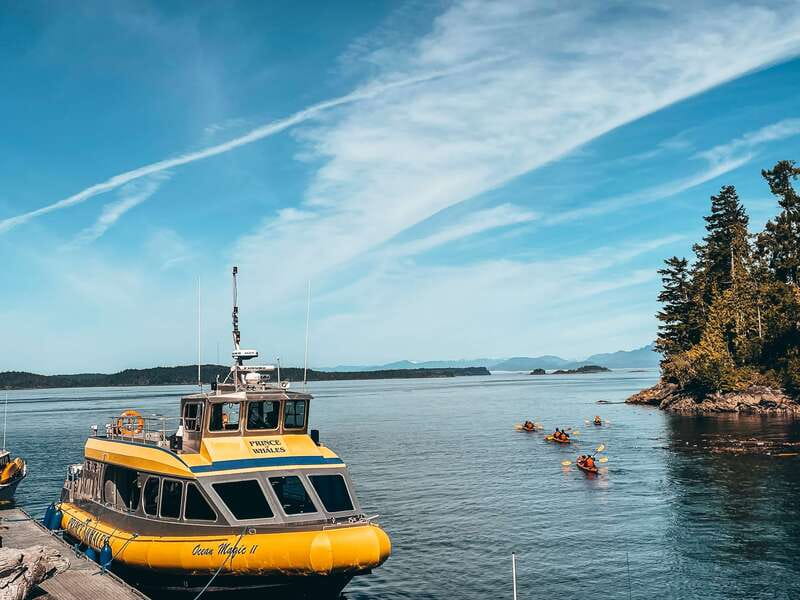 Telegraph Cove: Whale Watching Adventure with Free Photos - Warm drinks, cold air, and what to pack