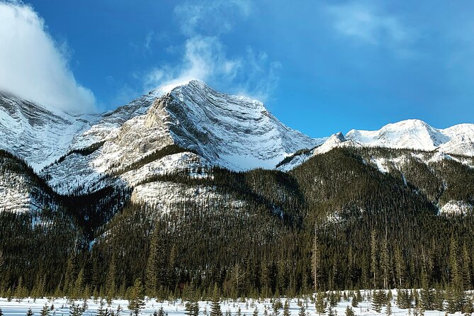 The BANFF NATURE Walk - 2hr Adventure - Guides who make the difference