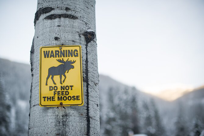 The BANFF NATURE Walk - 2hr Adventure - Wildlife sightings and sensible expectations