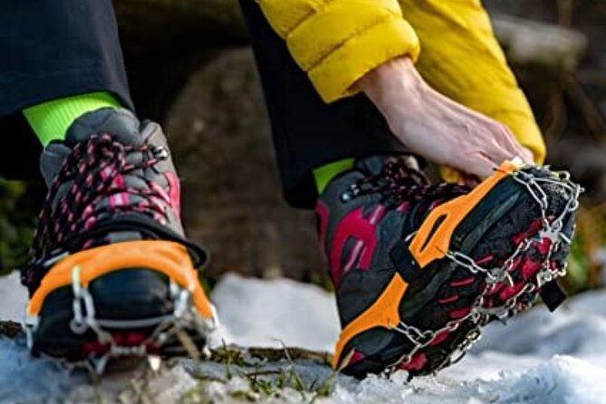 The BANFF NATURE Walk - 2hr Adventure - Starting at Cave and Basin