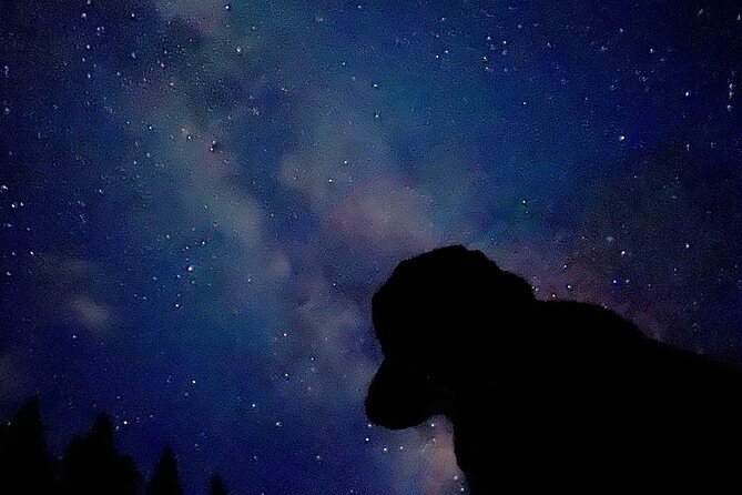 The Banff Stargazing Tour - 2hr Walking Tour - Taking photos with a phone or camera