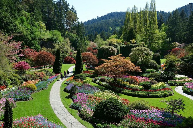 The Butchart Gardens Express Shuttle from Downtown Victoria - What the $44.40 fare really buys you