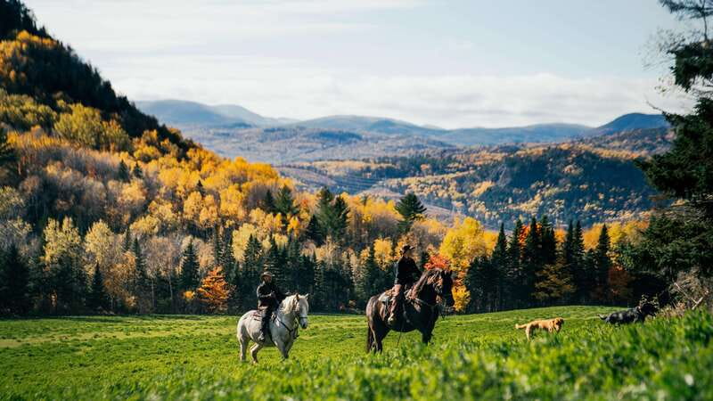 The Montagnarde: Guided horseback ride on mountain trails. - Key points to know before you book