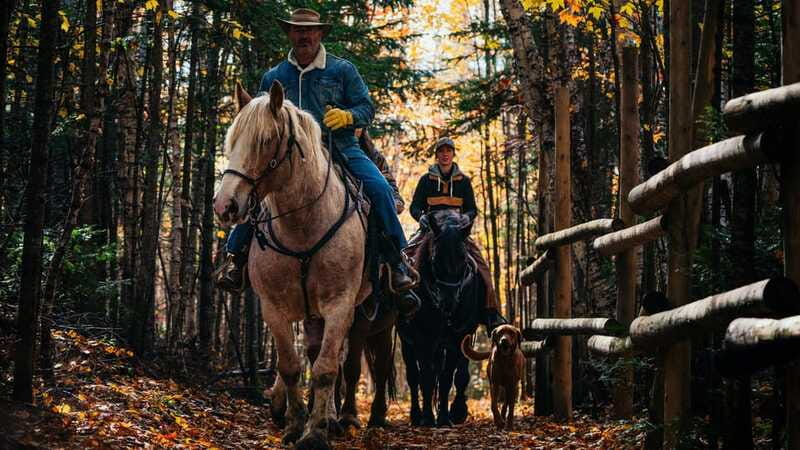 The Montagnarde: Guided horseback ride on mountain trails. - The 2.5-hour route through the mountains
