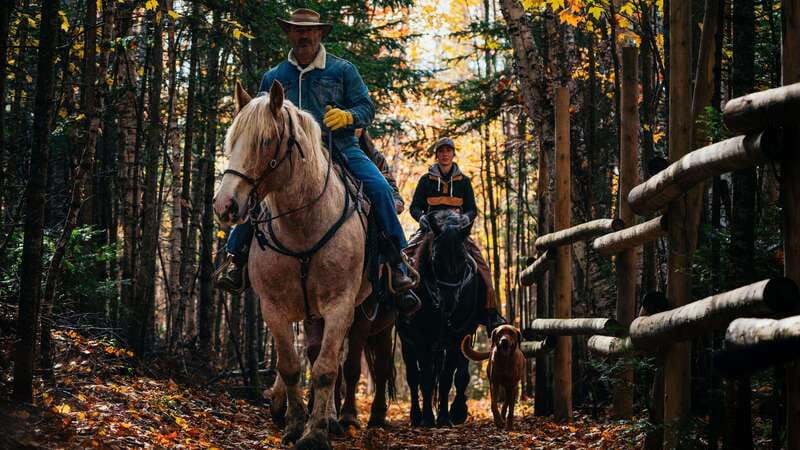 The Montagnarde: Guided horseback ride on mountain trails. - Who will enjoy this ride most