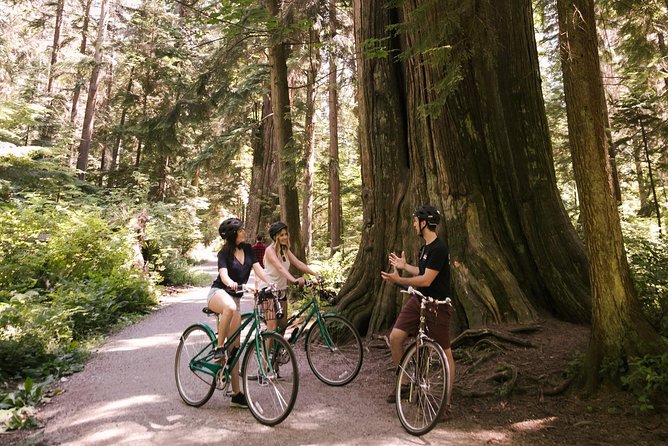 The Stanley Park Bicycle Tour by Cycle City Tours - Brockton Point and the First Nations totem poles