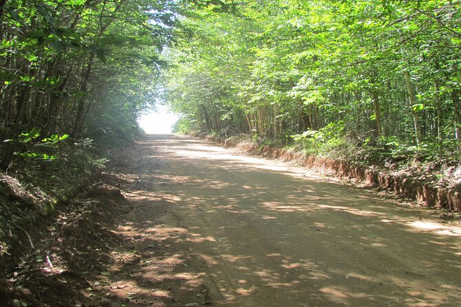 The Ultimate Anne of Green Gables Private Tour - Green Gables is the main event in Cavendish