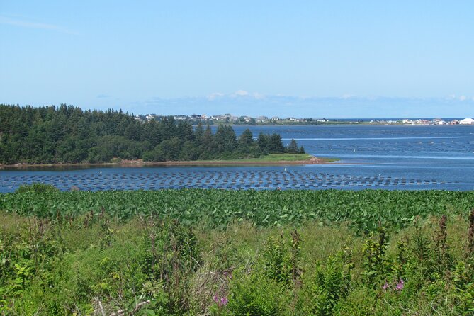 The Ultimate Anne of Green Gables Private Tour - What the $650 price really buys you