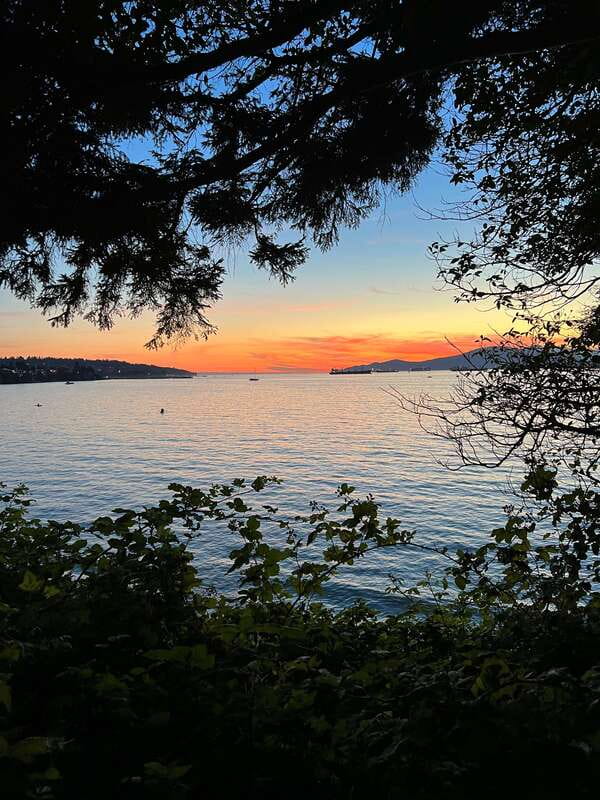 The Ultimate Stanley Park E-Bike Tour - Price, timing, and overall value