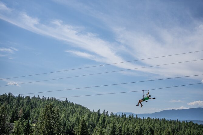 Thrilling 2-Hour Zipline Tour in Radium Hot Springs - A two-minute walk to the best platform