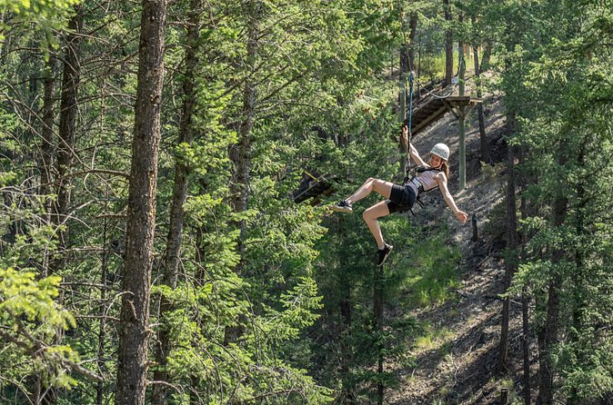 Thrilling 2-Hour Zipline Tour in Radium Hot Springs - Who will enjoy this tour most