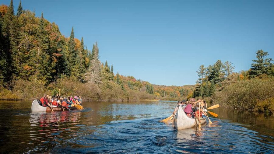 Toronto: Algonquin Park and Ragged Falls Day Trip - A full day from Toronto to Algonquin