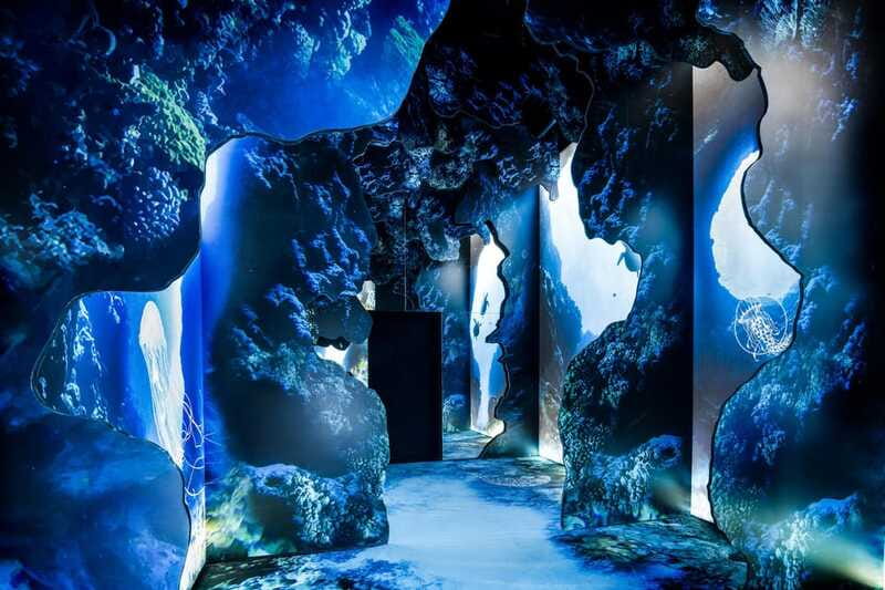 Toronto: Arcadia Earth, Immersive Experience Anytime Ticket - Who should choose this experience?