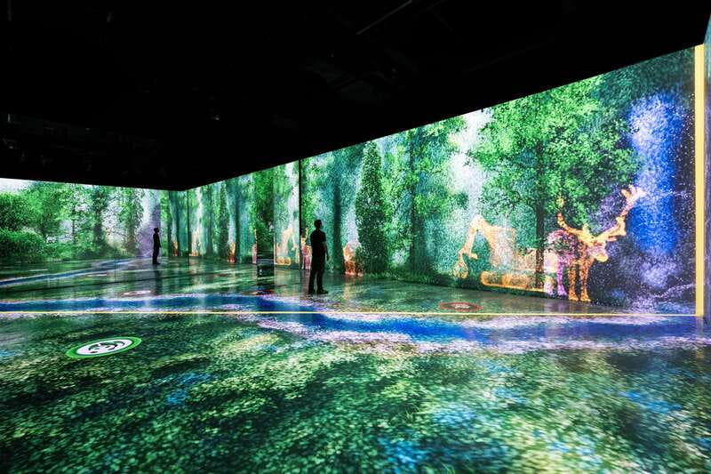 Toronto: Arcadia Earth, Immersive Experience Anytime Ticket - Underwater worlds and environmental ideas