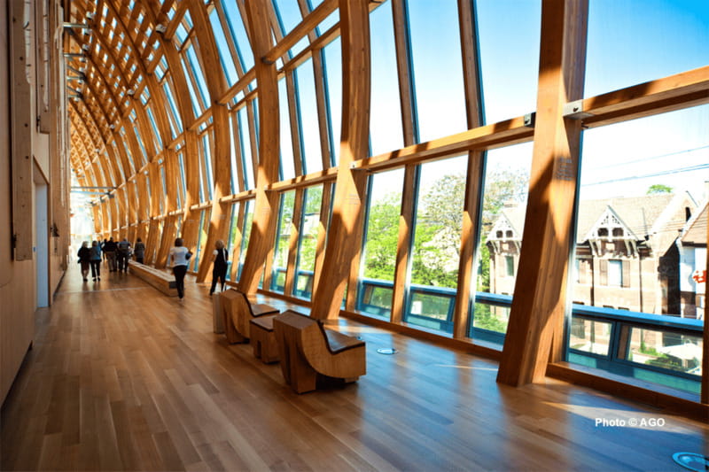 Toronto: Art Gallery of Ontario General Admission Ticket - Special exhibitions require a separate decision