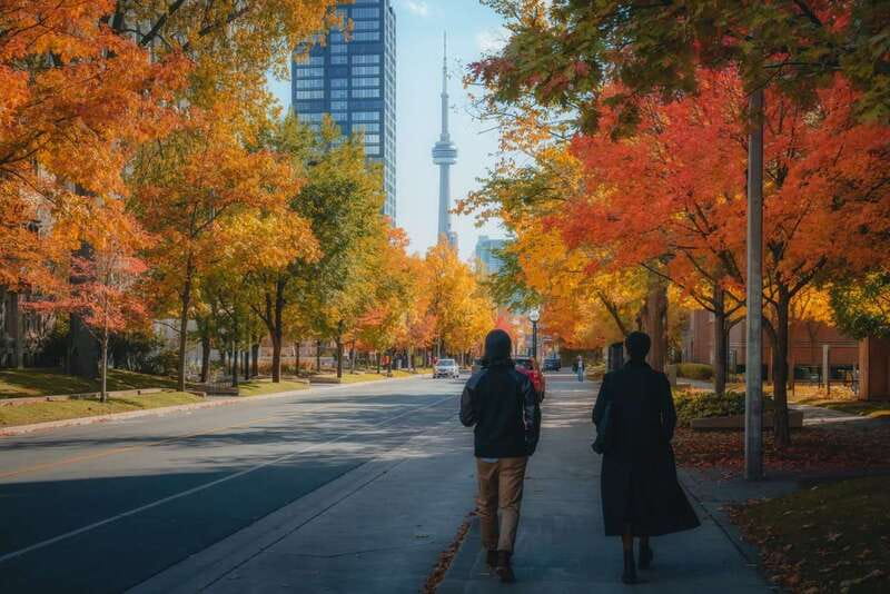 Toronto: City Highlights Walking Tour | 3-Hour - Old City Hall and Nathan Phillips Square
