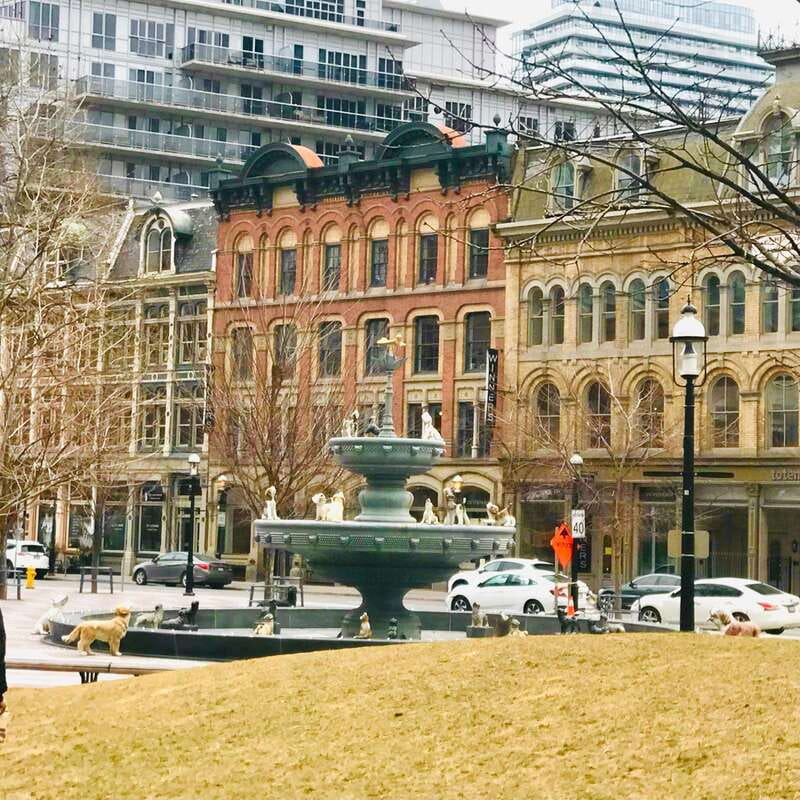 Toronto: City Walking Tour - Who should book this Toronto walking tour?