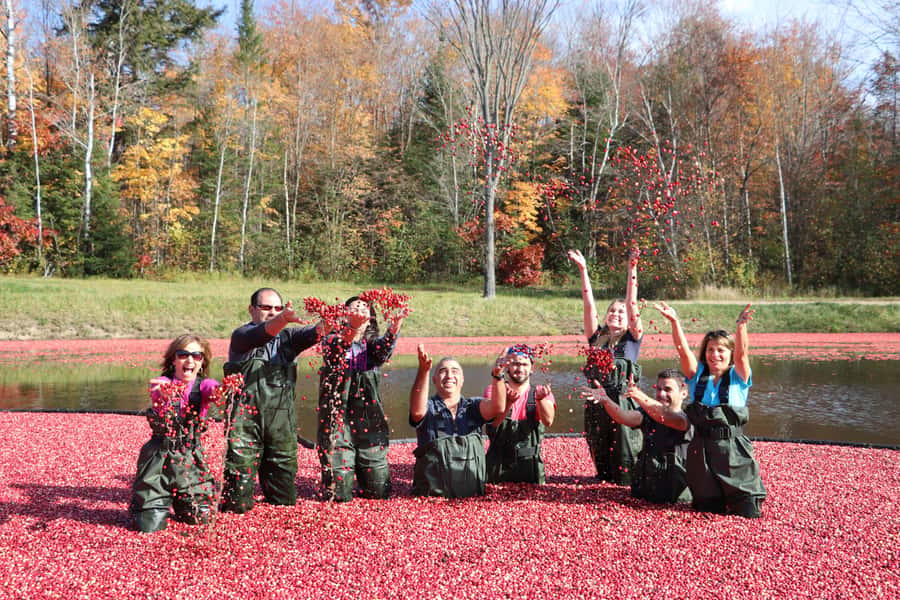 Toronto: Muskoka Cranberry Farm and Hardy Lake Hike - What the $94 price really covers